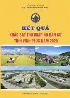 Kết quả Khảo sát thu nhập hộ dân cư tỉnh Vĩnh phúc năm 2020