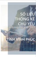 Tờ gấp số liệu Thống kê chủ yếu 6 tháng đầu năm 2022 tỉnh Vĩnh Phúc