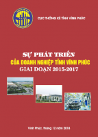 Sự phát triển của doanh nghiệp tỉnh Vĩnh Phúc giai đoạn 2015 - 2017